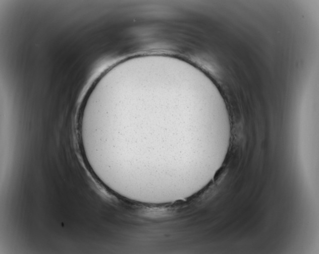 X0000086341470200704202051