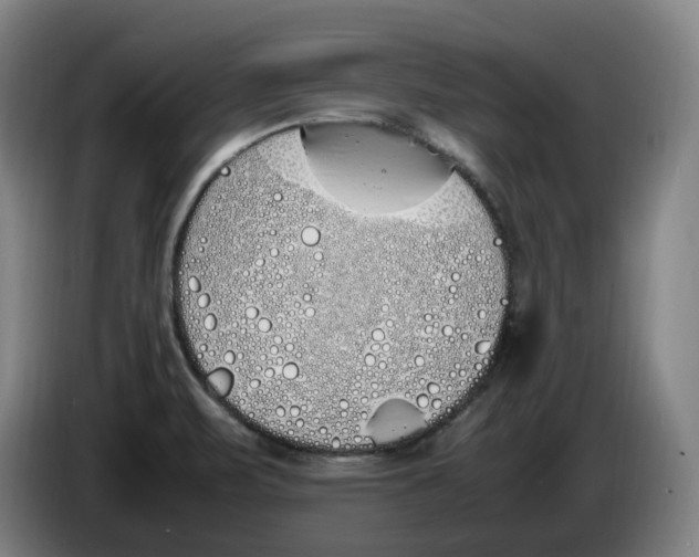X0000086341471200704202051