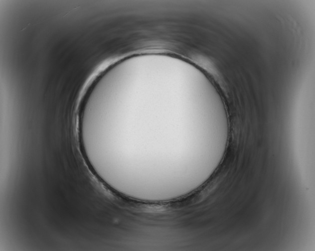 X0000086341472200704202051