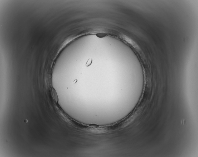 X0000086341473200704202051