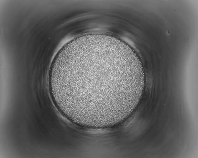 X0000086341474200704202051
