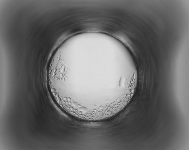 X0000086341476200704202051