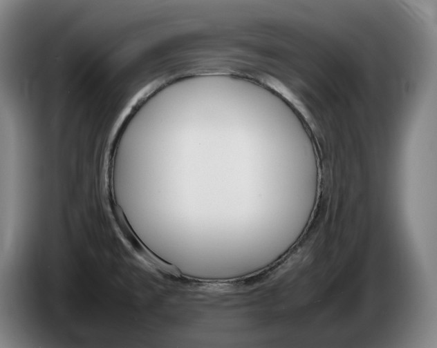X0000086341477200704202051
