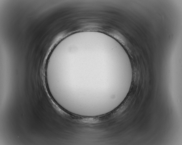 X0000086341478200704202051