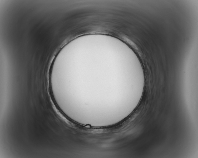 X0000086341479200704202051