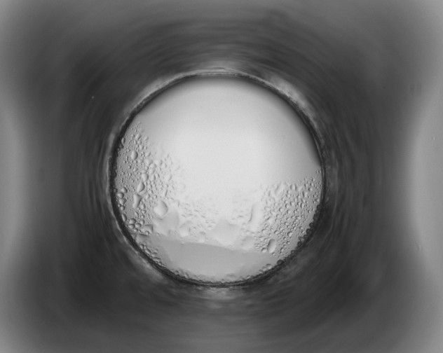 X0000086341480200704202051