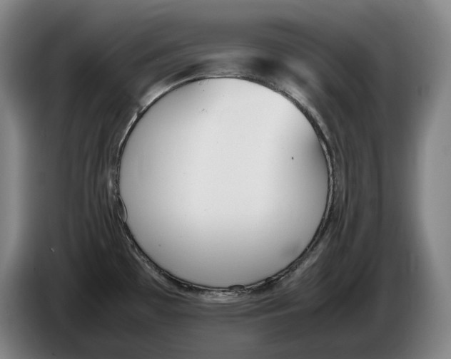X0000086341481200704202051