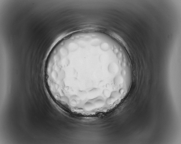 X0000086341483200704202051