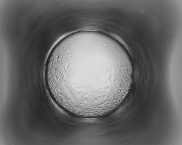 X0000086341484200704202051