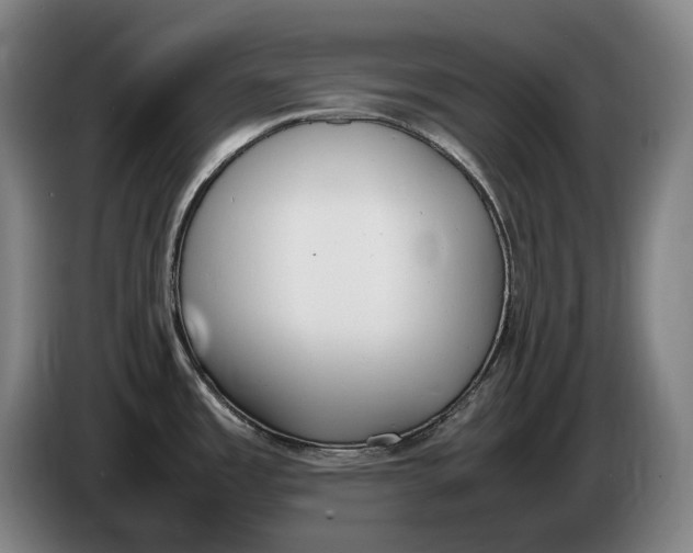 X0000086341485200704202051