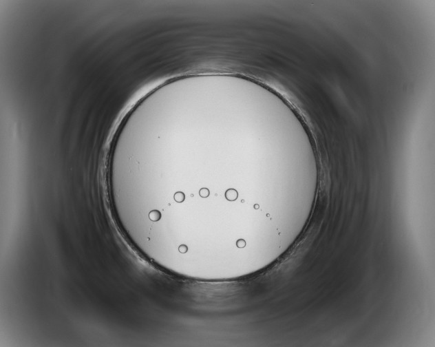 X0000086341486200704202051
