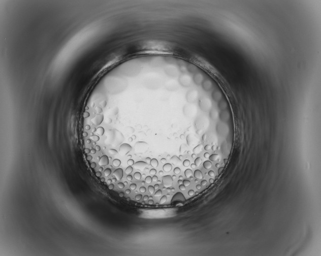 X0000086341487200704202051