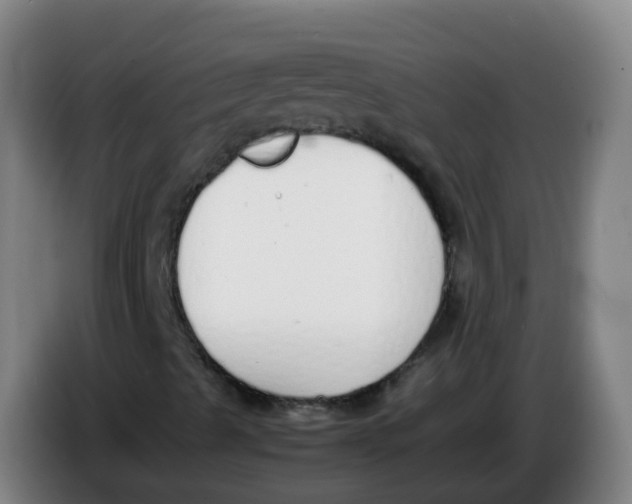 X0000086341489200704202051