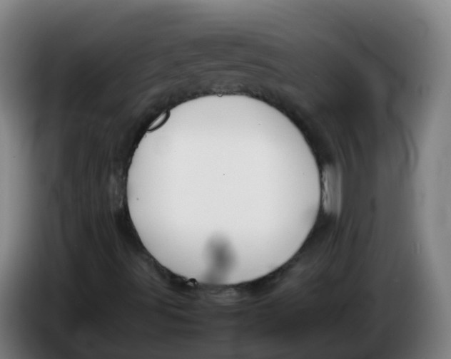 X0000086341491200704202051