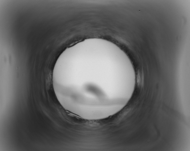 X0000086341492200704202051