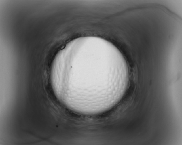 X0000086341493200704202051