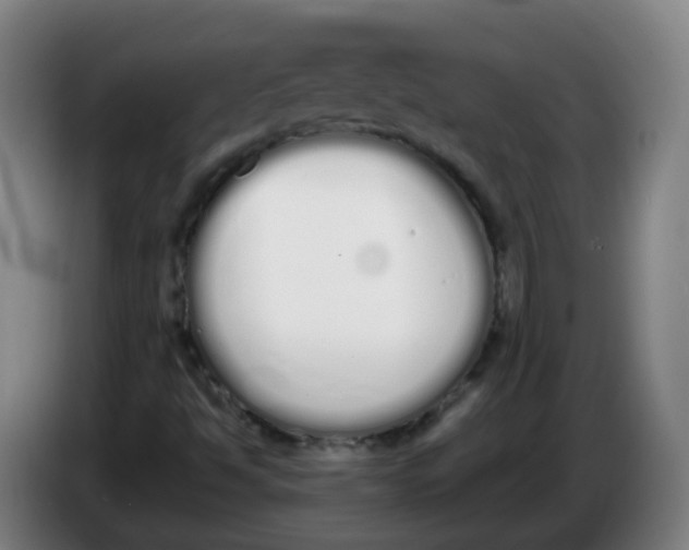 X0000086341494200704202051