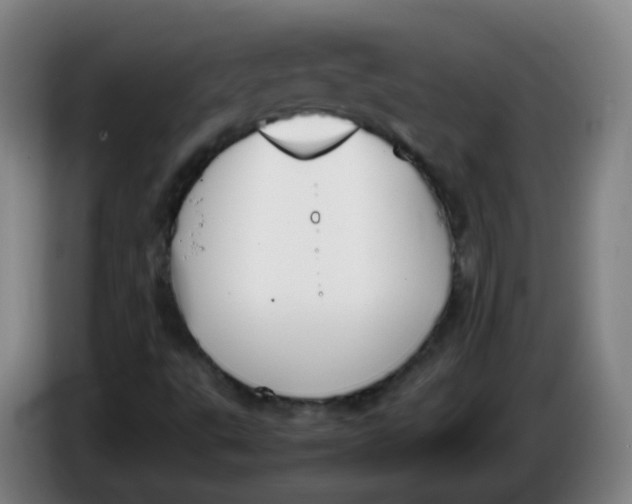 X0000086341495200704202051