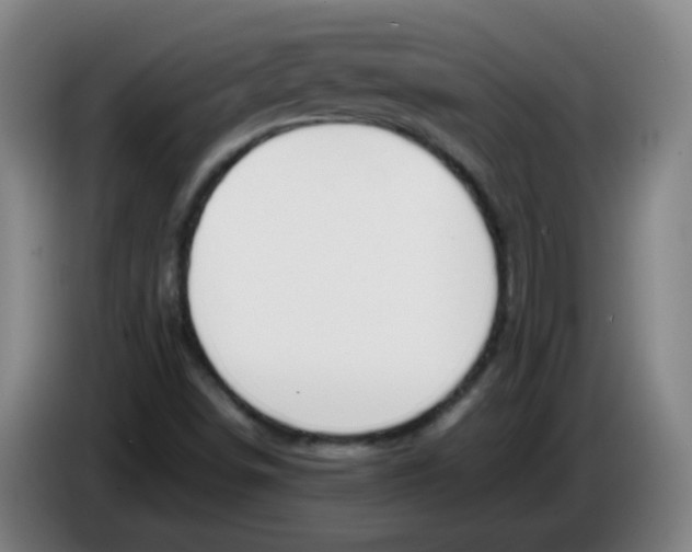 X0000086341498200704202051