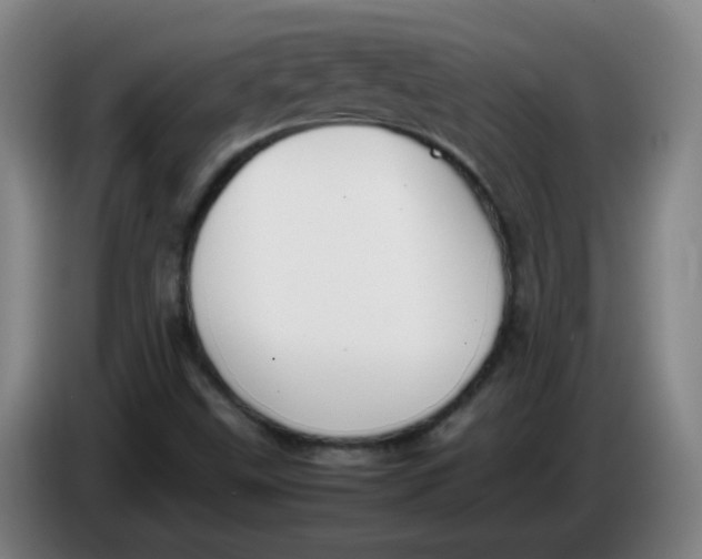 X0000086341499200704202051