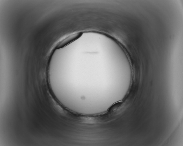 X0000086341500200704202051