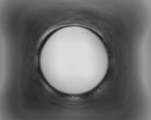 X0000086341503200704202051