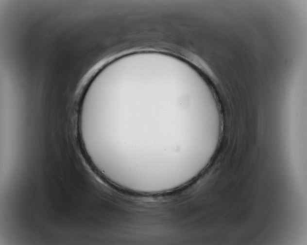 X0000086341504200704202051