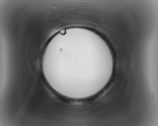 X0000086341505200704202051