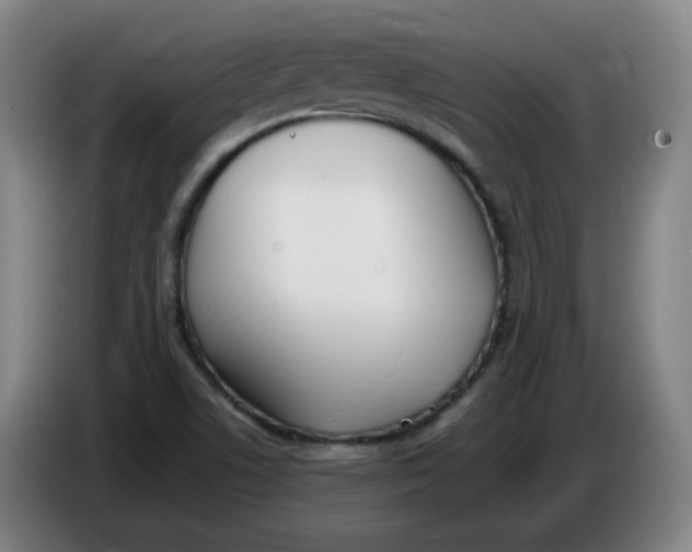 X0000086341506200704202051