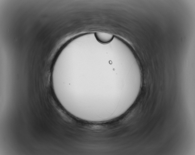 X0000086341507200704202051