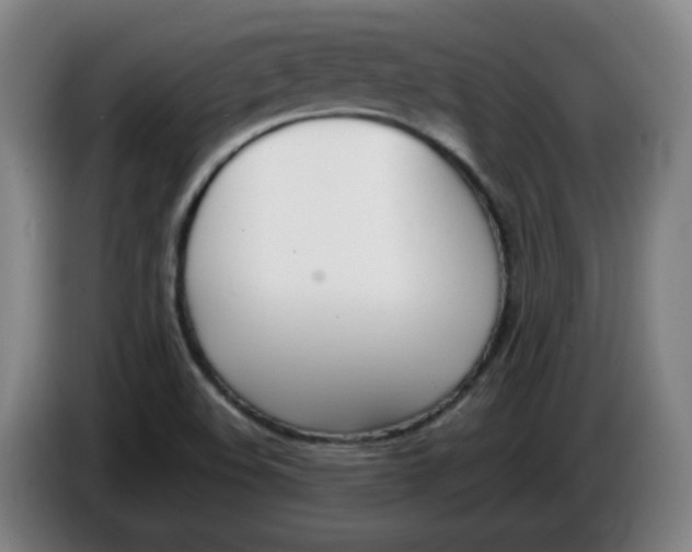 X0000086341508200704202051