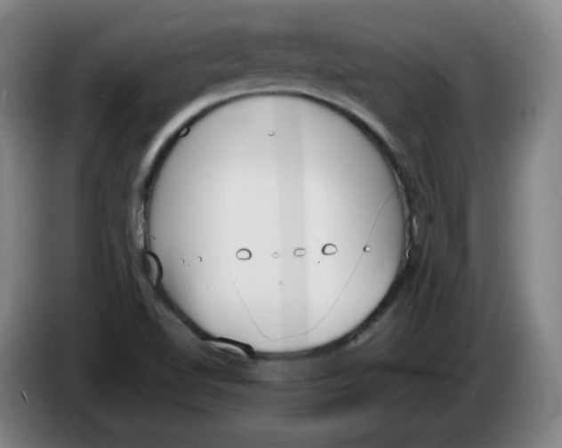 X0000086341510200704202051