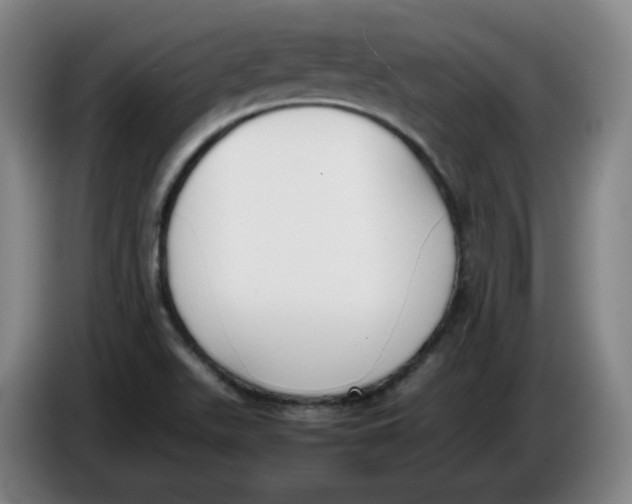 X0000086341511200704202051