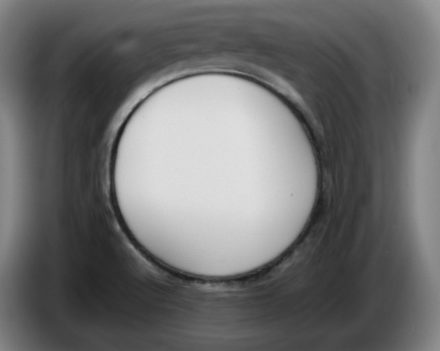 X0000086341512200704202051