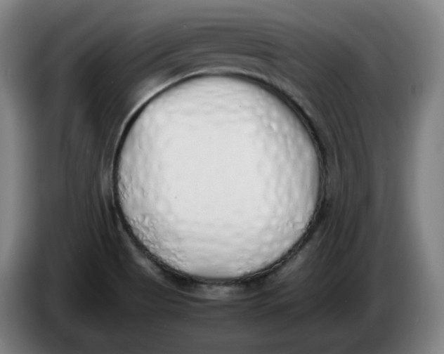 X0000086341513200704202051