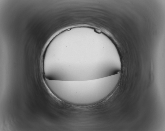 X0000086341516200704202051