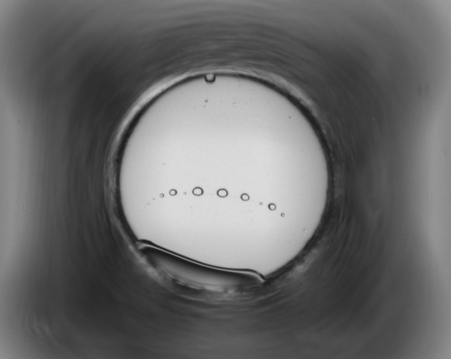 X0000086341517200704202051