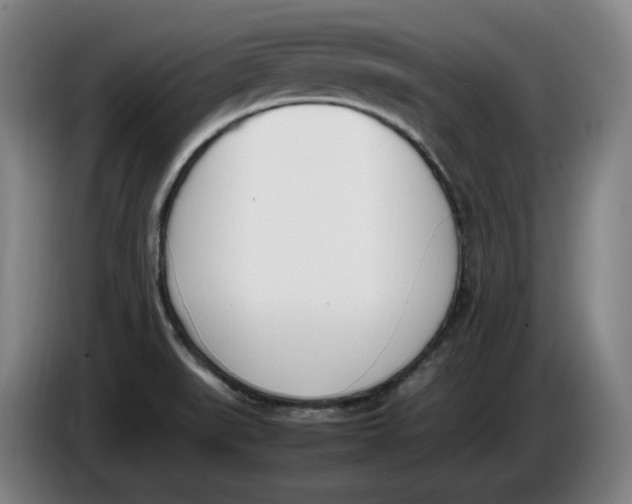 X0000086341519200704202051