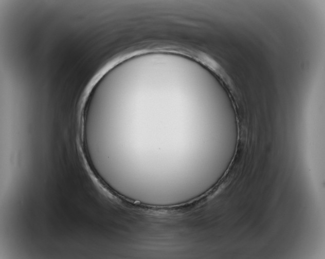 X0000086341520200704202051