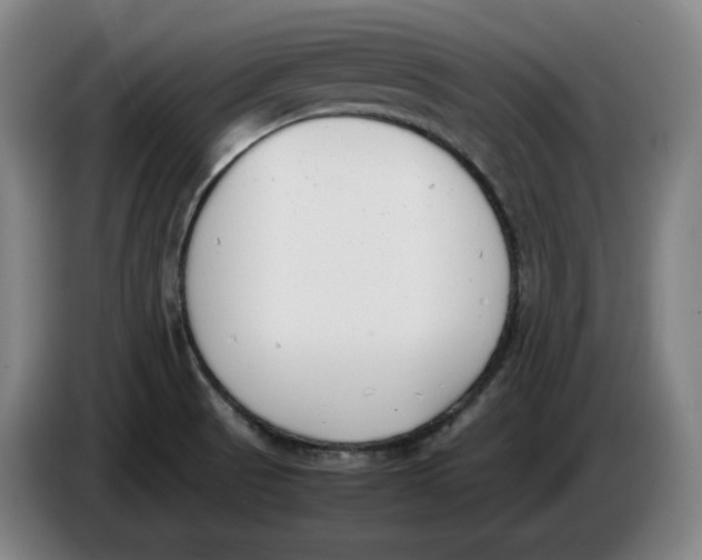 X0000086341521200704202051