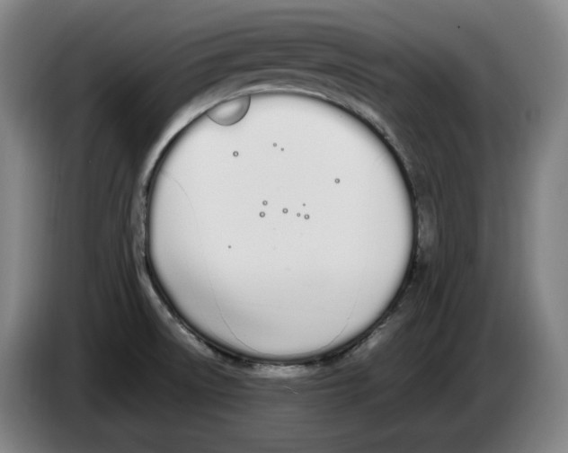 X0000086341522200704202051