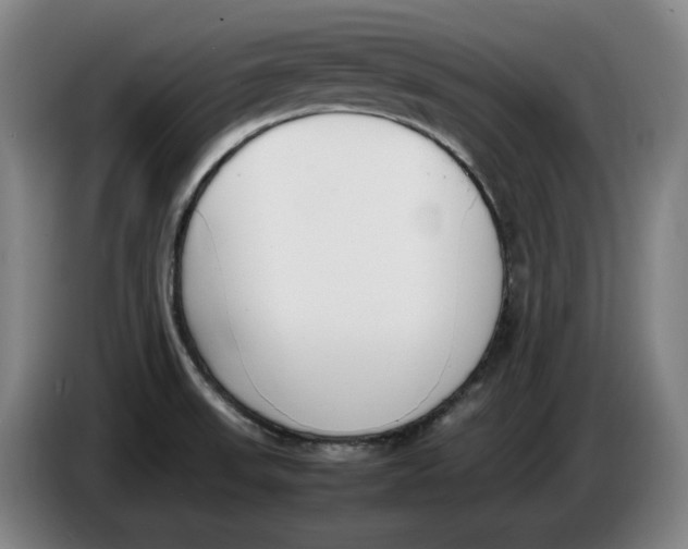 X0000086341523200704202051