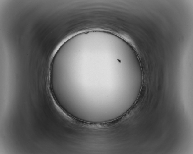 X0000086341524200704202051