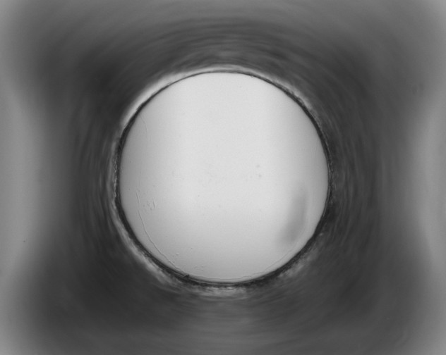 X0000086341526200704202051