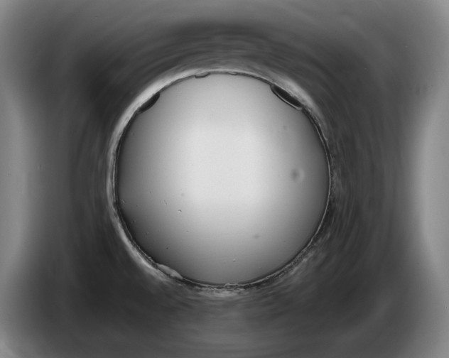 X0000086341528200704202051
