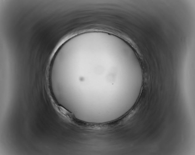 X0000086341530200704202051