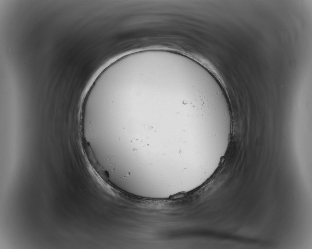 X0000086341532200704202051