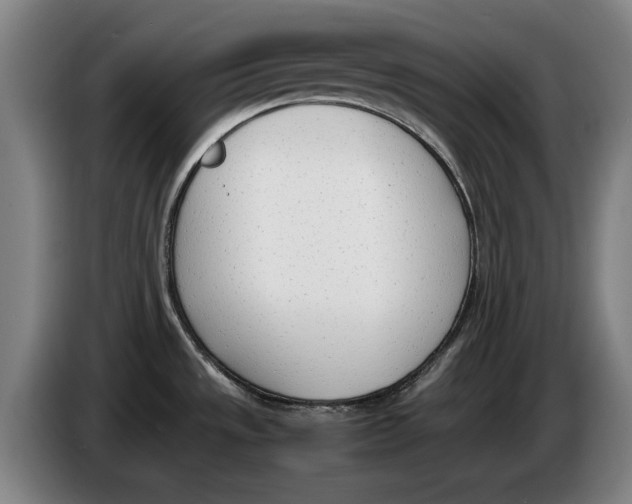 X0000086341533200704202051