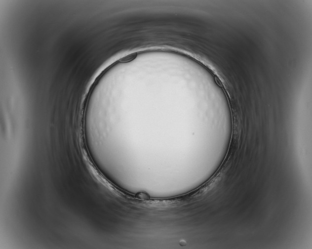 X0000086341534200704202051