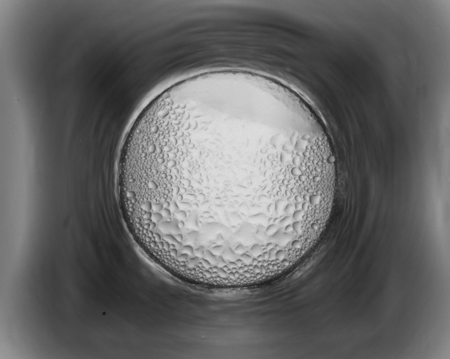 X0000086341535200704202051